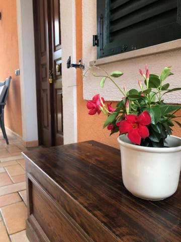 Il Giardino Delle Rose Apartment Spello Exterior photo