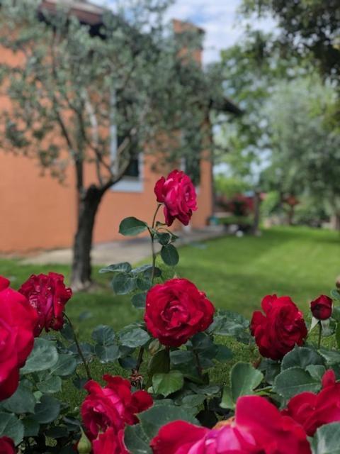 Il Giardino Delle Rose Apartment Spello Exterior photo