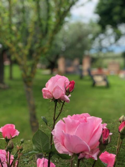 Il Giardino Delle Rose Apartment Spello Exterior photo